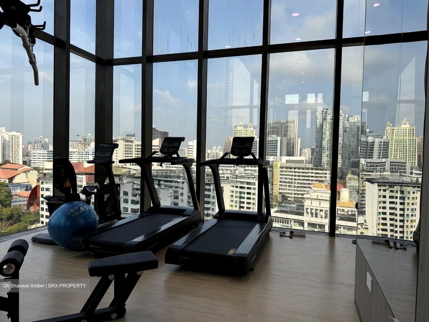 The Landmark (D3), Condominium #519668841